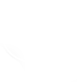Alternate Text